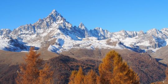 Cerco signora referenziata