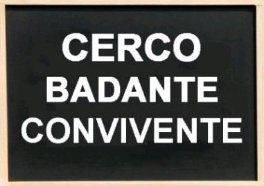 Cerco Badante convivente